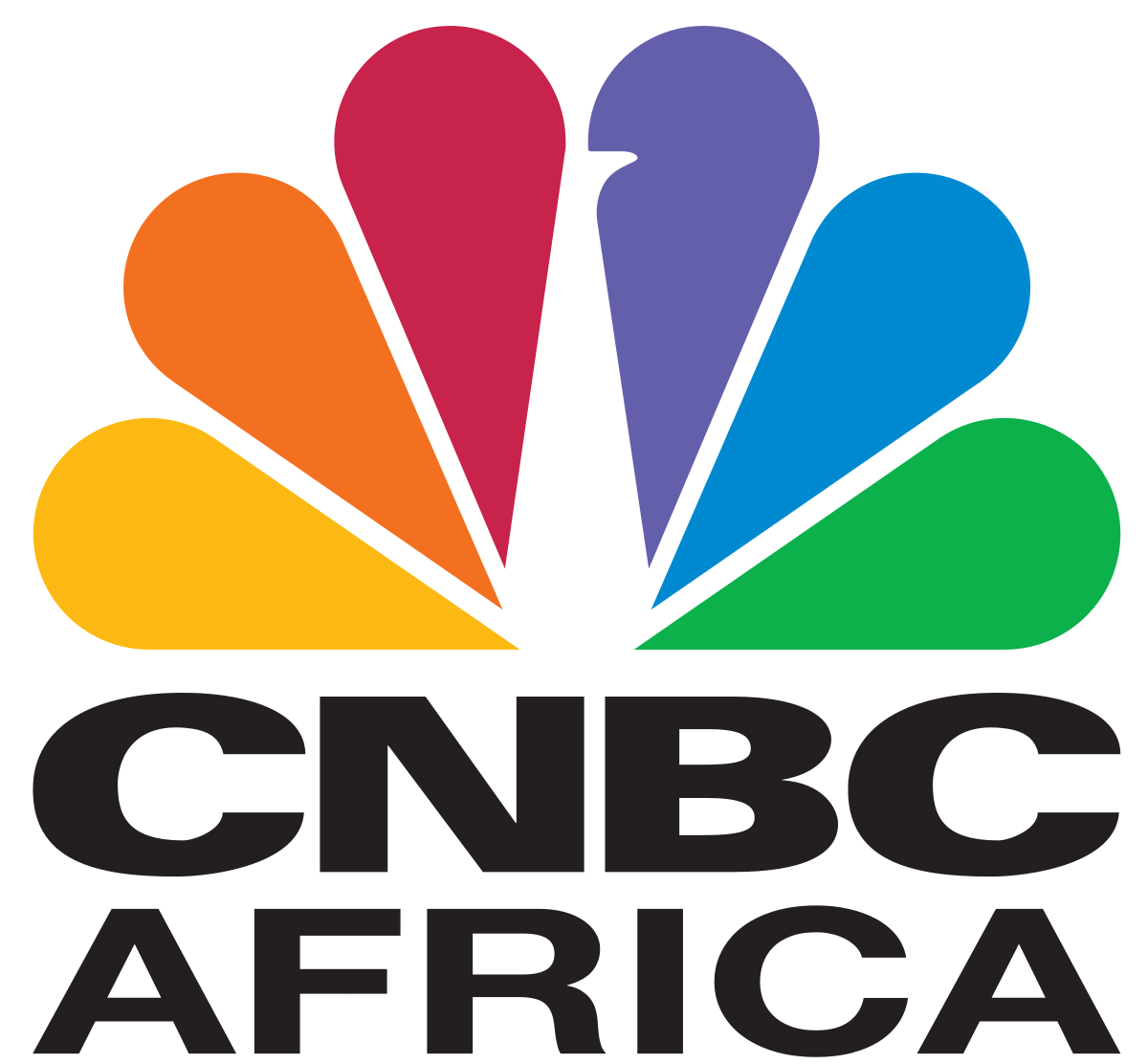 1200px-CNBC_Africa.svg